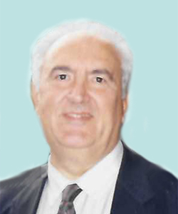 Vasco Raffaelli
